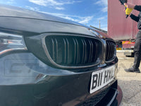 BMW M3/M4 F80/F82/F83 Carbon Fibre Front Grilles