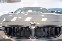 BMW M3/M4 F80/F82/F83 Carbon Fibre Front Grilles